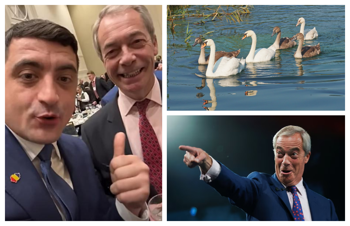 Nigel Farage, politicianul care acuză românii că pun lebede la rotisor, este favorit să ajungă următorul prim-ministru în Regatul Unit
