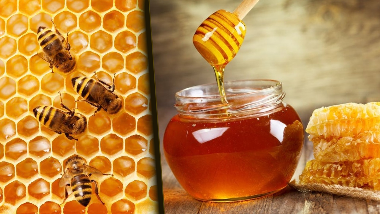 Seceta și canicula, cauzele pentru care apicultorii români sunt afectați. Prețul la care se vinde un kilogram de miere