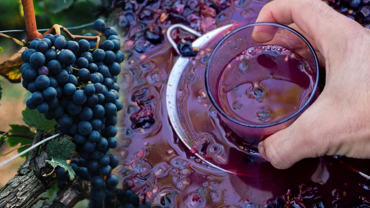 It’s a must să bei MUST toamna! Cât plătești pentru un litru din elixirul acestui anotimp, în septembrie 2025