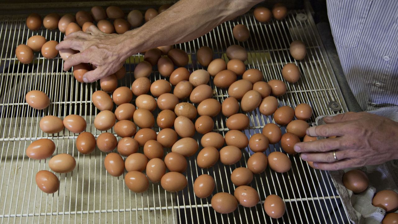 Asociațiile producătorilor din Franța susțin că în magazine ajung ouă importate din Ucraina, care conțin antibiotice ”strict interzise în Uniunea Europeană de mai bine de 15 ani”