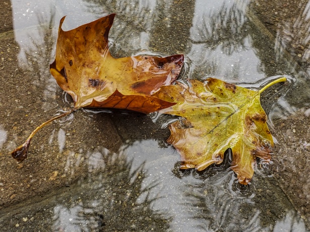 Vremea se răcește în România. Meteorologii Accuweather au actualizat prognoza meteo pentru 12-21 septembrie