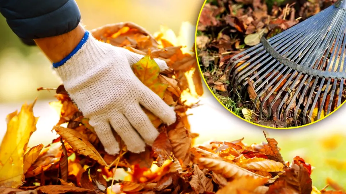 Regula care vizează o anumită categorie de români. Amenda poate ajunge până la 50.000 de euro!