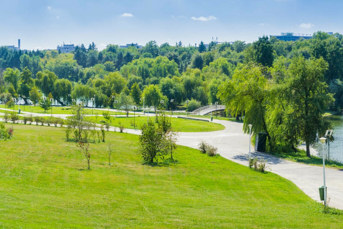 Spațiile verzi și infrastructura sportivă în București. Cum se diferențiază sectoarele Capitalei