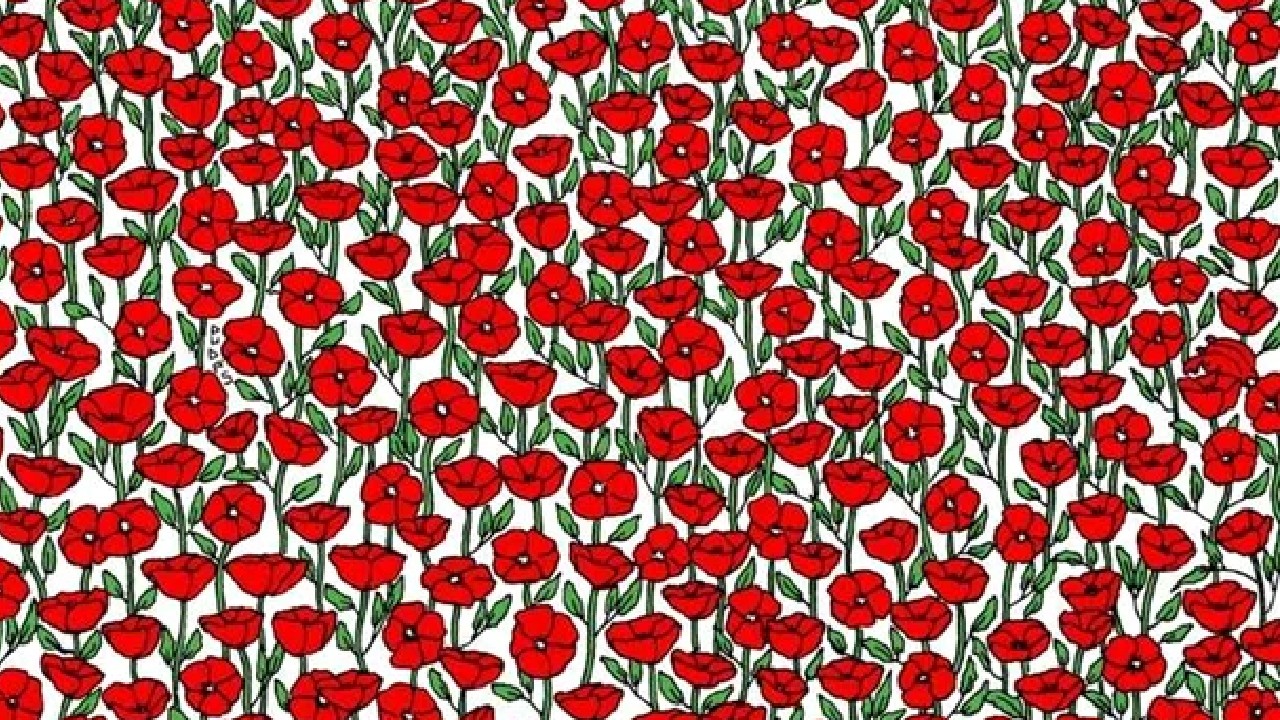 Test IQ pentru genii. Unde se ascunde crabul din imagine? Găsește-l în mai puțin de 15 secunde!