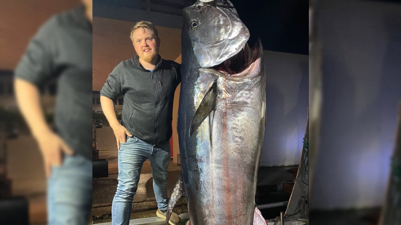 Un pescar a prins un ton gigantic de 280 de kilograme: „ M-am lupat două ore și jumătate. Are capul mai mare ca al meu”