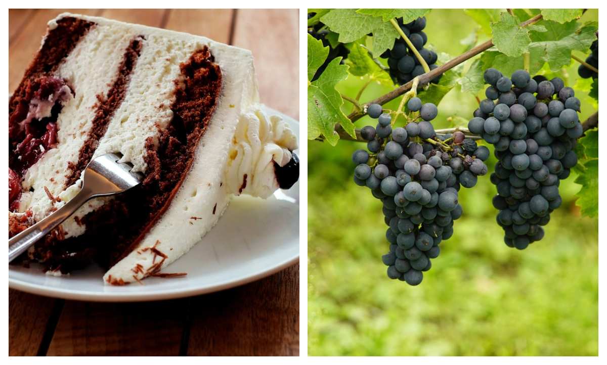 Tort de struguri, desertul vedetă al toamnei. Cum se prepară