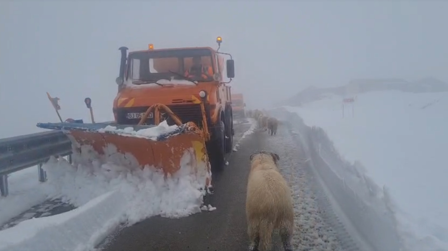 Ninge la munte! Transfăgărășanul și Transalpina rămân închise în weekend