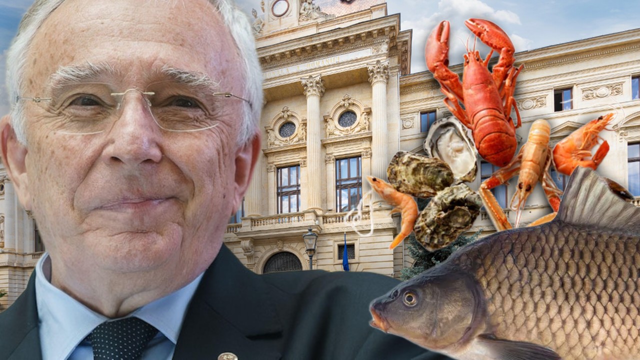 BNR a plătit 1.100.000 de euro pe fructe de mare, pește și legume. Cum se apără instituția: „Sunt cheltuieli curente”