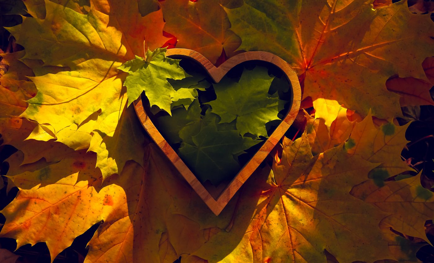 DRAGOSTEA profundă sosește, în sfârșit, pentru aceste 5 ZODII, Cupidon îi loveşte până la finalul săptămânii