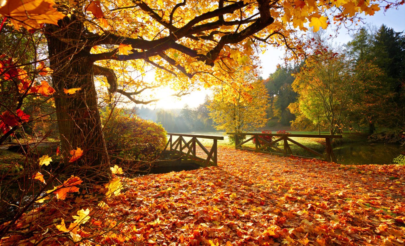 Horoscop 6-12 octombrie 2025. Revin lucrurile la normal? Luna Plină din semnul tău îți deschide inima și îți reaprinde focul pasiunii