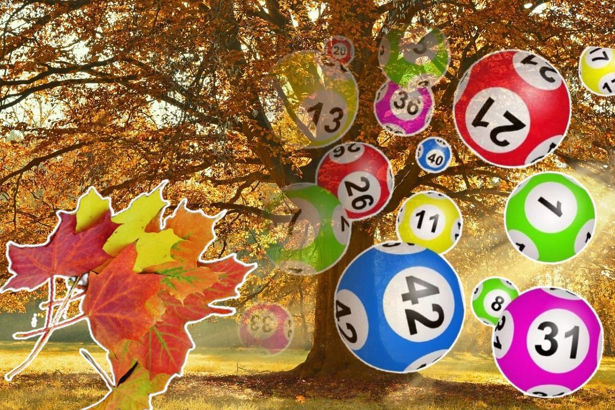 Rezultate Loto 5 octombrie 2025. Report de peste 7.2 milioane de euro la categoria I. La Noroc sunt în joc peste 574.000 de euro