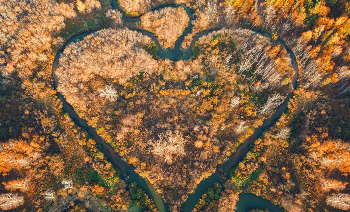 DRAGOSTEA profundă sosește pentru 5 ZODII. Cupidon nu ratează ţinta până la finalul săptămânii –