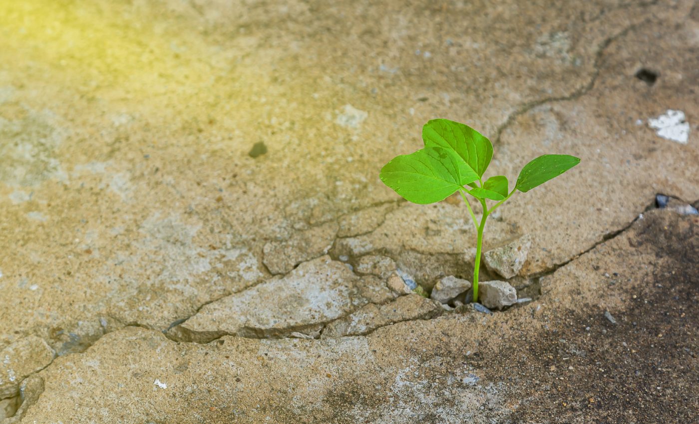 4 ZODII care NU pot fi oprite în OCTOMBRIE 2025. Ce rol are prezența focosului Marte în secretosul Scorpion