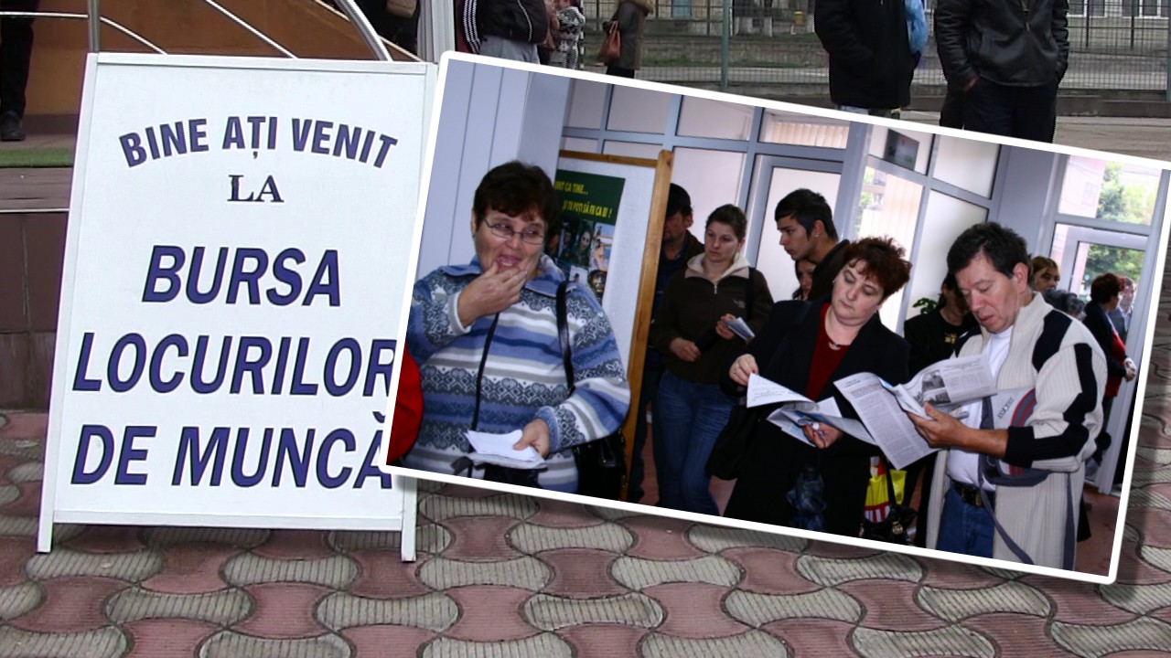 Angajatorii primesc 2.250 de lei de la stat pentru salariaţii recalificaţi de peste 30 de ani. Ce sunt primele de activare, de inserţie şi de mobilitate