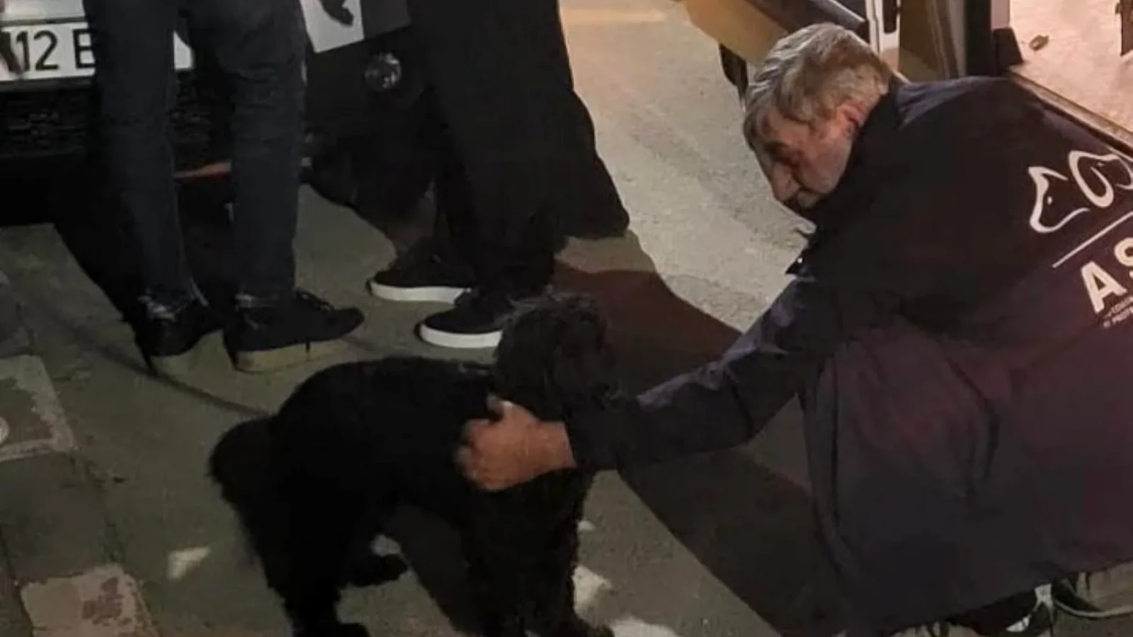 Bărbatul din București care și-a bătut câinele este pus sub urmărire penală. Animalul a fost salvat de ASPA, iar acum se află sub îngrijirea veterinarilor