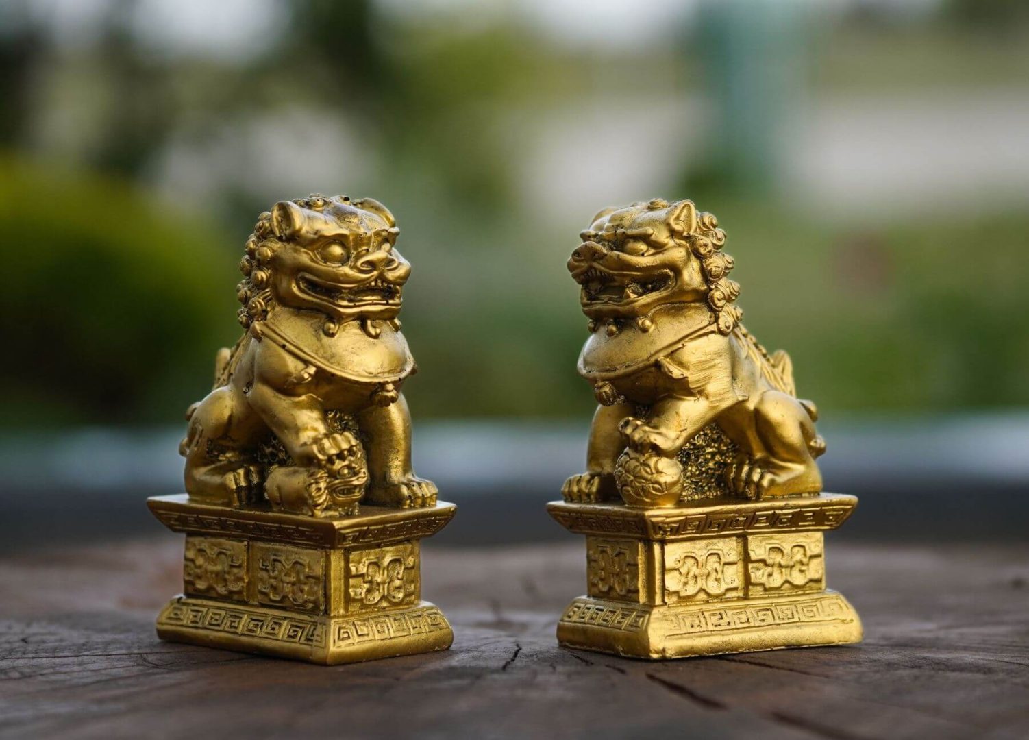 Zodiac chinezesc 2 octombrie 2025. Energia lunii de jar aduce karma bună de mâine. Feng Shui emoţional!