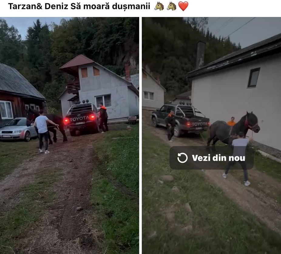 Cal lovit și forțat să tracteze o mașină de teren, care avea frâna trasă. Doi bărbați au fost reținuți
