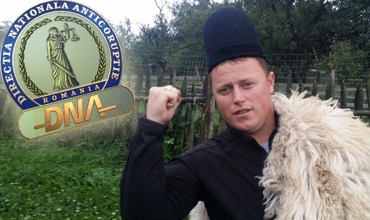 Cel mai mare crescător de oi din România, trimis în judeactă. Dosarul plecat de la o plângere a lui Ghiţă Ciobanul la DNA