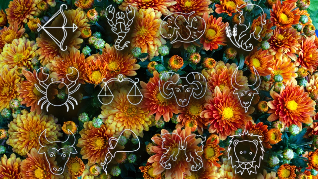 3 zodii care vor străluci după jumătatea lunii noiembrie. Cea mai bună perioadă pentru acești nativi