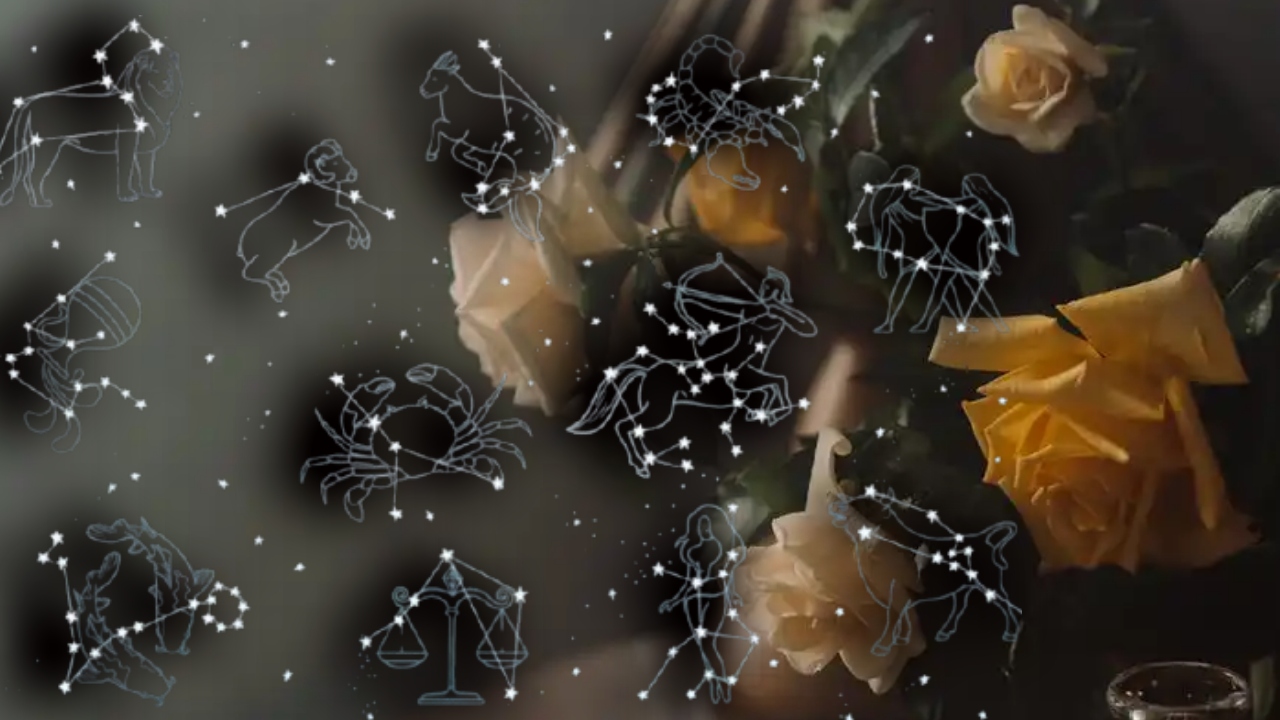 3 zodii care le ghidează pașii celor aflați în dificultate în luna noiembrie. Nativii care strălucesc și emană liniște și bucurie în jurul lor