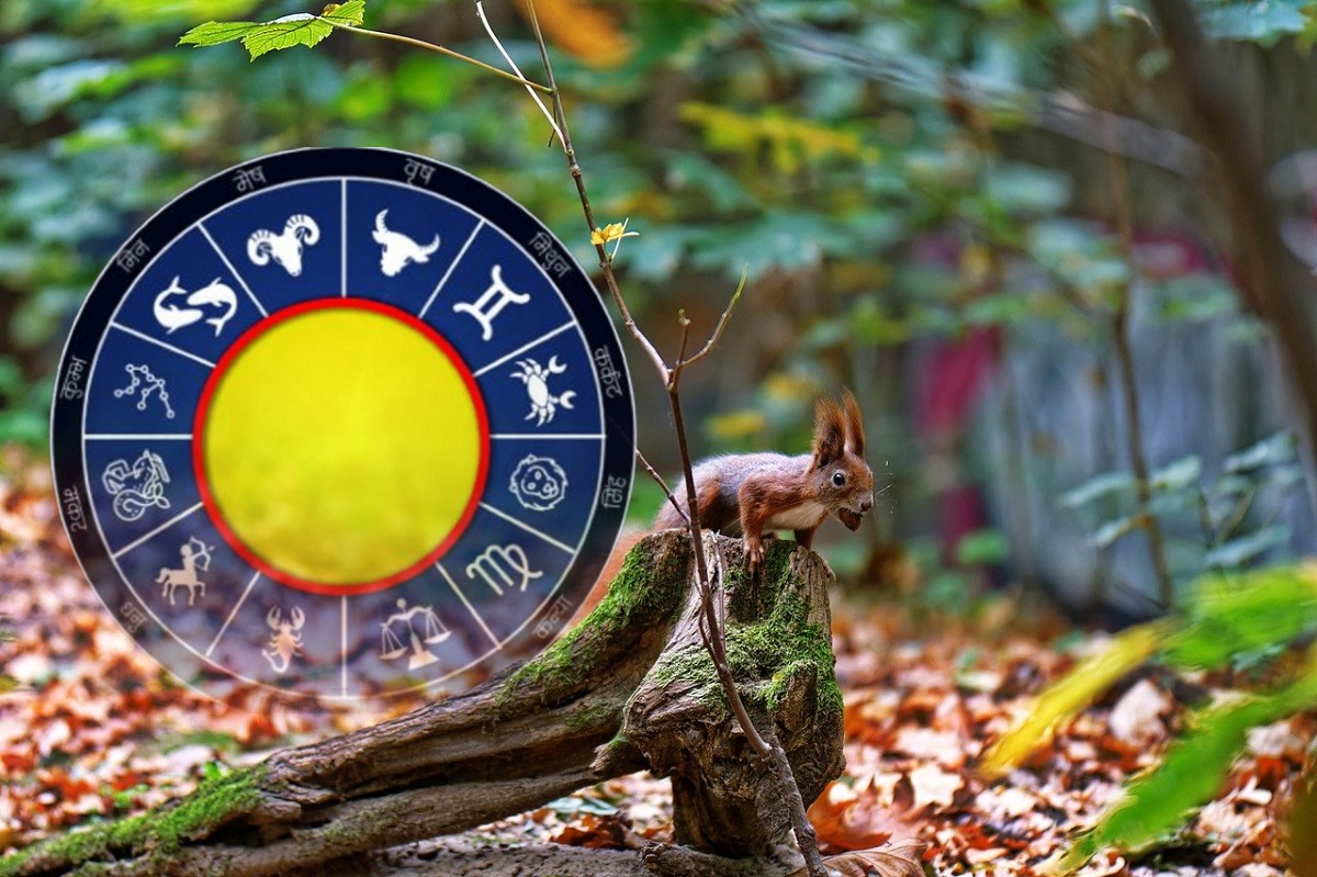 Horoscop noiembrie 2025. Oportunități uriașe pentru creșterea veniturilor, întâlniri romantice și aventuri neașteptate