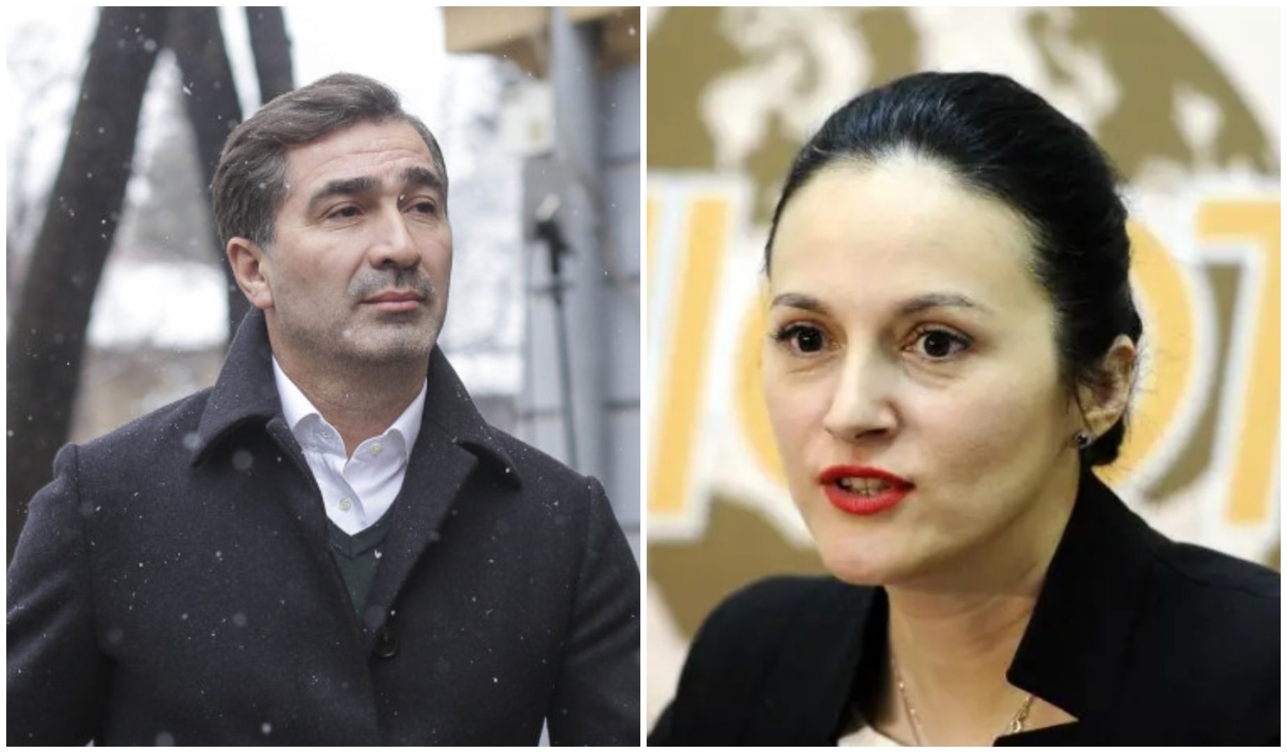 Ionel Arsene vrea să scape de închisoare după modelul Alina Bica. Fostul șef al CJ Neamț a fugit în Italia
