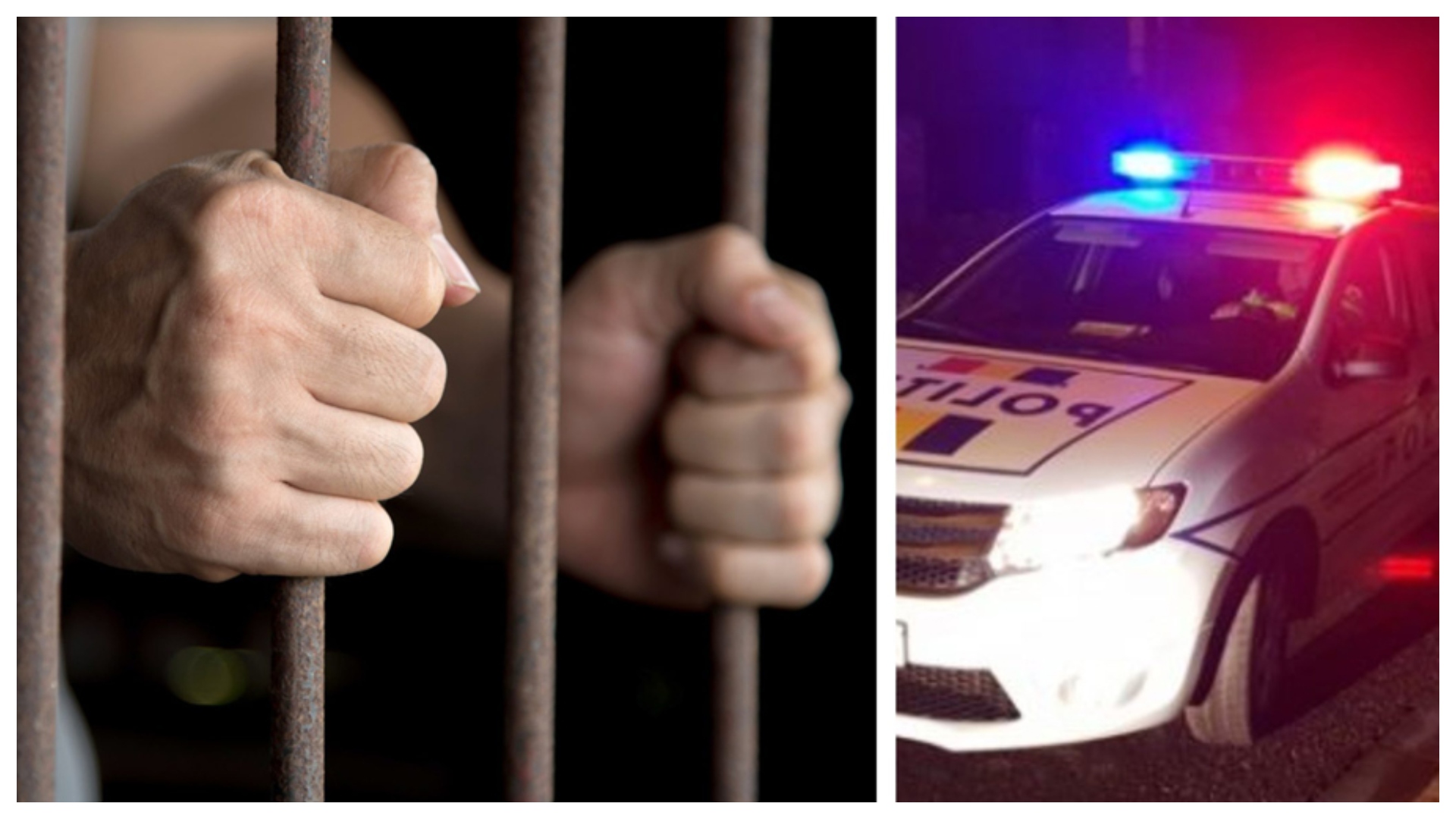 Legea Anastasia, mult mai dură! Proiectul care aduce modificări la Codul Penal a trecut de Senat