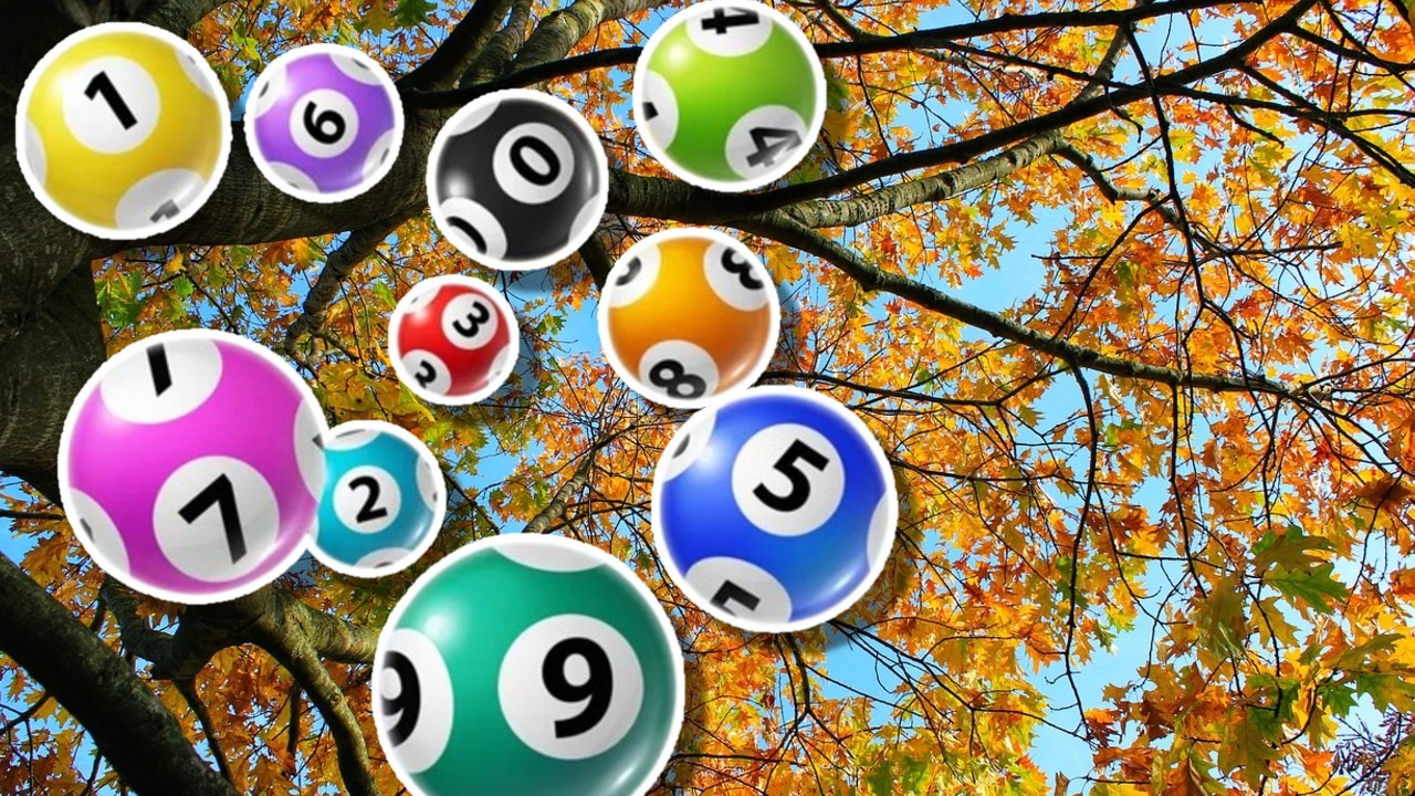 Rezultate Loto 16 octombrie 2025. Report la Joker la categoria I de peste 6,89 milioane de euro