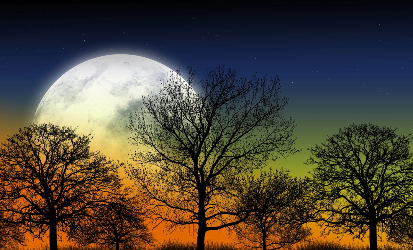 Luna Plină a toamnei astronomice aduce energie în contrast cu vibrațiile actuale ale sezonului Balanței, care pune accent pe diplomație, echilibru și armonie