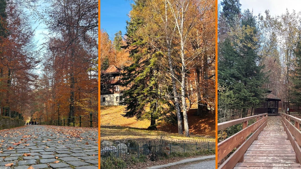 Vreme deosebit de caldă pe 1 noiembrie 2025. Ultima lună de toamnă debutează cu mult soare pentru picnic