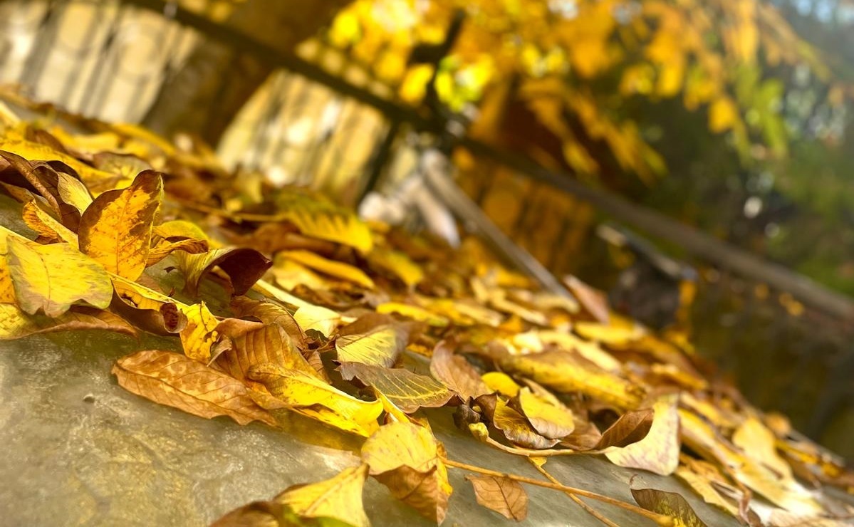 Prognoza meteo 20 octombrie – 17 noiembrie. Temperaturi mai ridicate decât cele specifice perioadei, până la jumătatea lunii noiembrie