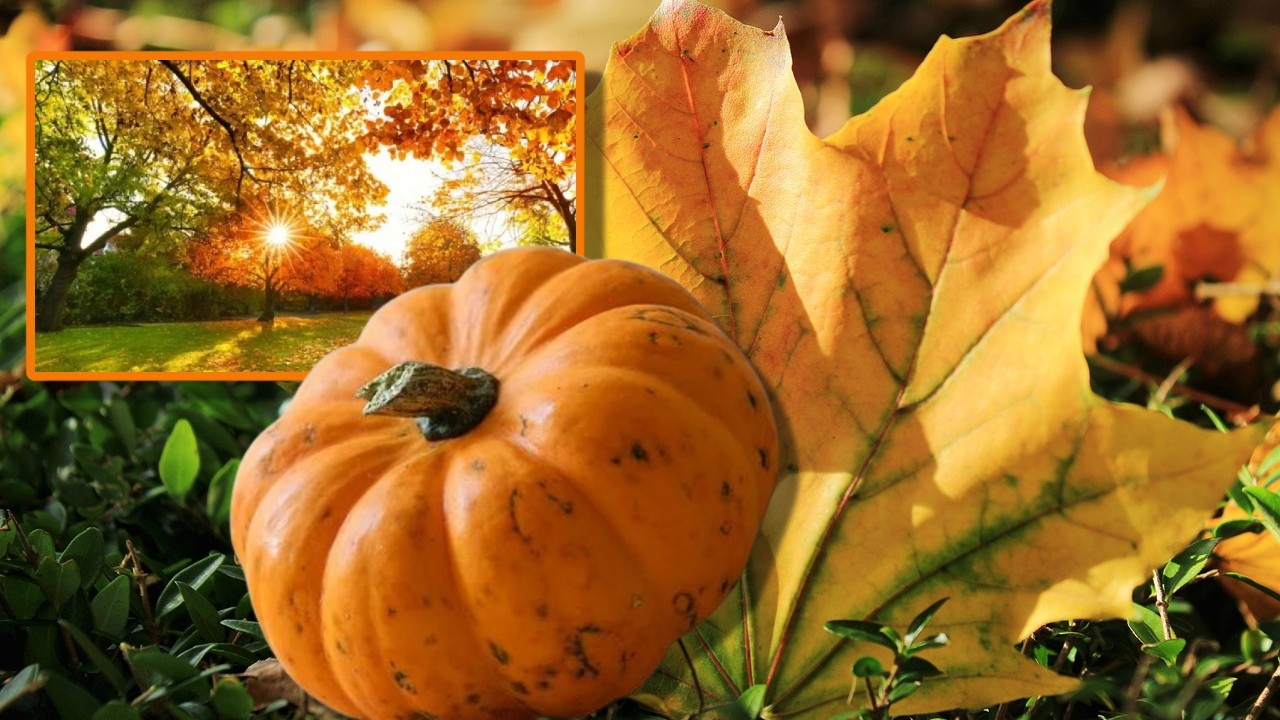 Prognoza meteo. ANM anunţă inversiune termică înainte de un nou ciclon polar. Temperaturile urcă la 25 de grade Celsius!