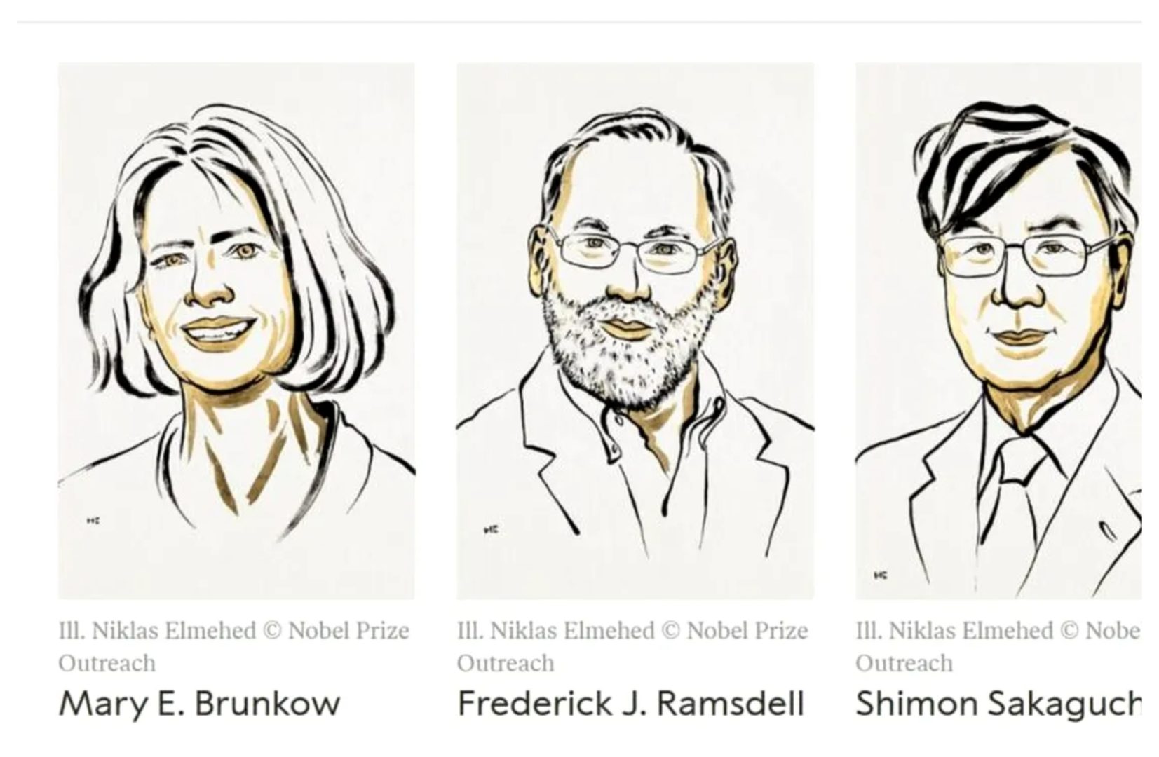 Premiului Nobel pentru Medicină 2025 împărţit de doi cercetători americani şi unul japonez pentru studii legate de sistemul imunitar