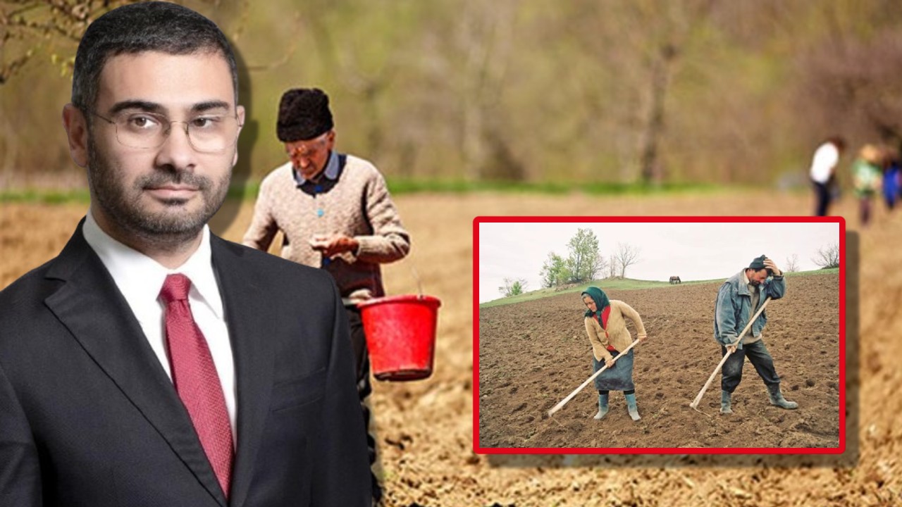 Ministrul Muncii confirmă „a 13-a pensie” de Crăciun: „Va fi un mic ajutor şi o sumă importantă pentru unii români”