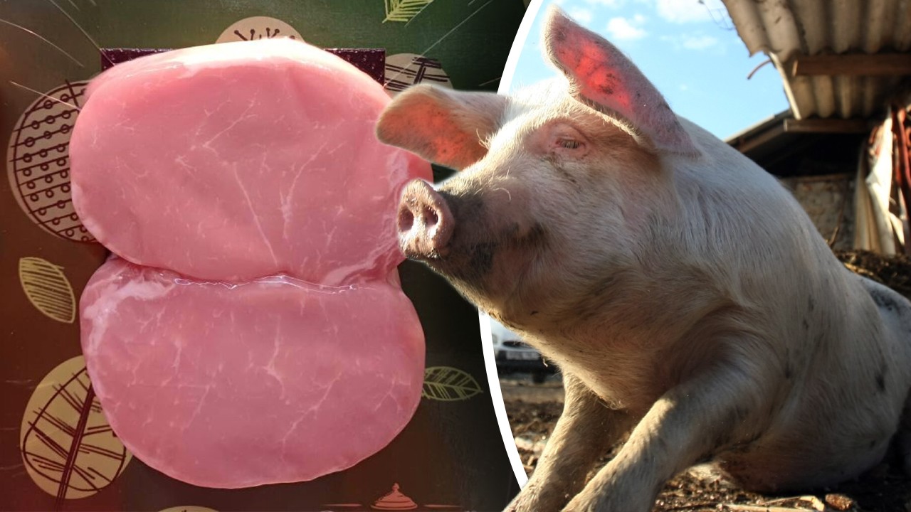 Cât costă un kilogram de cotlet de porc bio în magazinele din România. De banii ăștia mai bine iei masa la restaurant și îți ajunge și de desert
