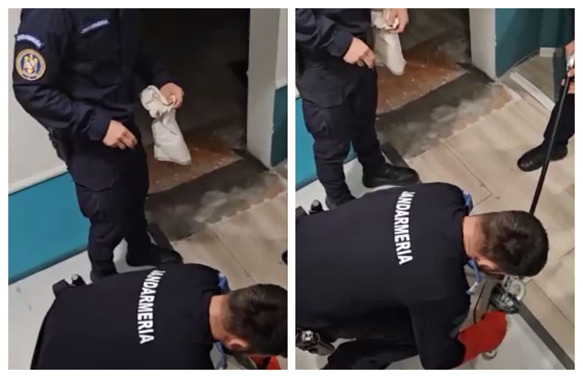 Imagini HALUCINANTE în centrul Bucureştiului. Un piton a evadat chiar din vecinătatea Catedralei Neamului VIDEO