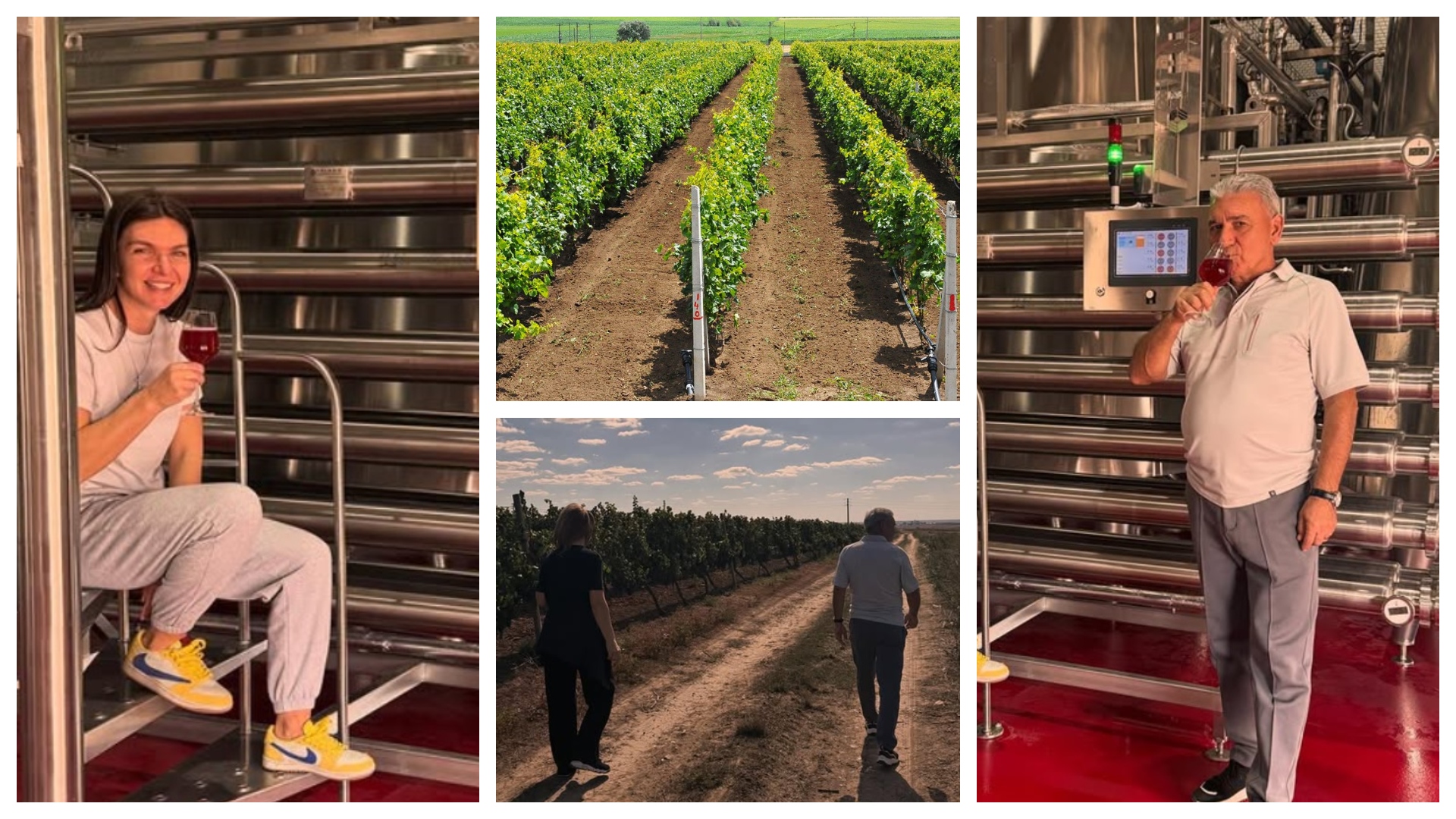 Noua afacere a familiei Simonei Halep. Business-ul este condus de tatăl sportivei