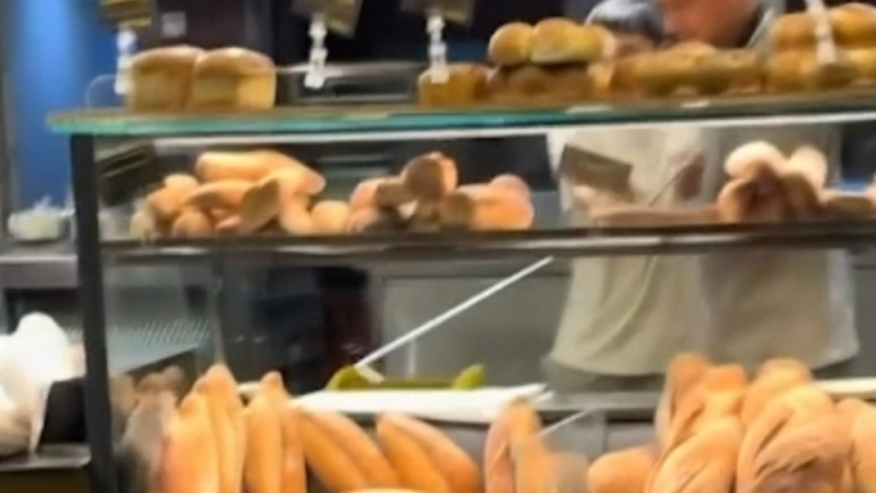 Scene șocante într-o brutărie din București! Un șobolan, surprins printre produsele din vitrină