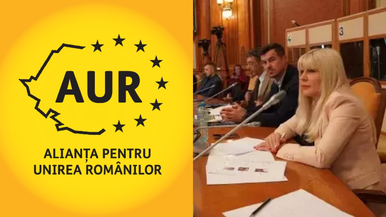 Elena Udrea a fost invitată de AUR în Parlament după eliberarea din închisoare pentru a cere pușcărie mai blândă pentru deținuți: „Detenția trebuie să fie ultima soluție, ar trebui să se treacă la pedepse neprivative de libertate”