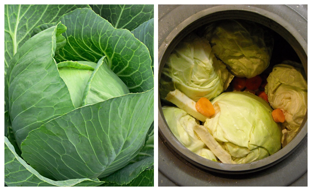 Varză murată cu apă sărată din izvoare naturale. Rețeta transmisă din generație în generație