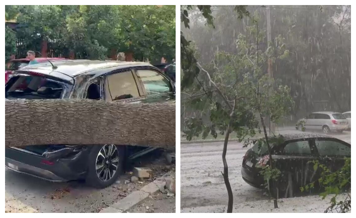 Vremea a făcut prăpăd în toată țara, inclusiv în Capitală. Copacii au fost doborâți de vântul puternic, iar mai multe mașini au fost distruse