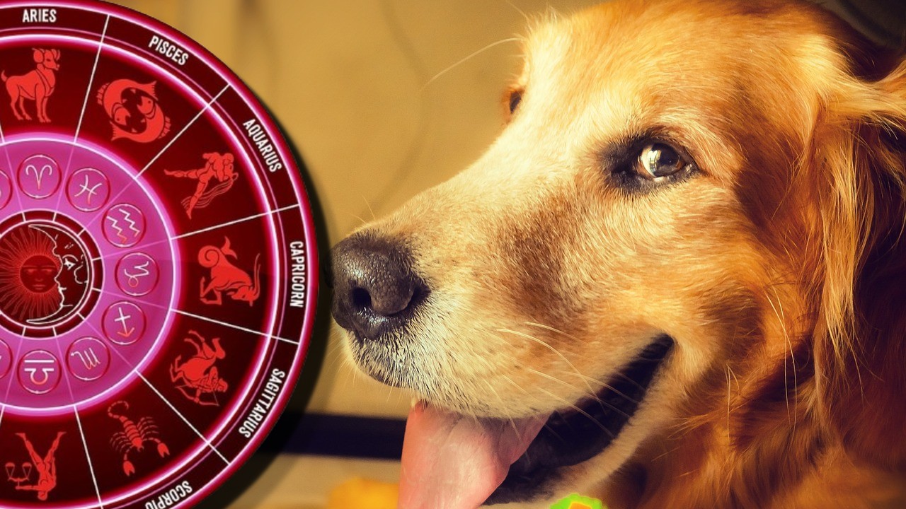 Zeii s-au decis: Trei zodii au tras lozul câştigător al destinului. În următorii cinci ani îi așteaptă noroc deplin, bani fără număr și fericire în doi