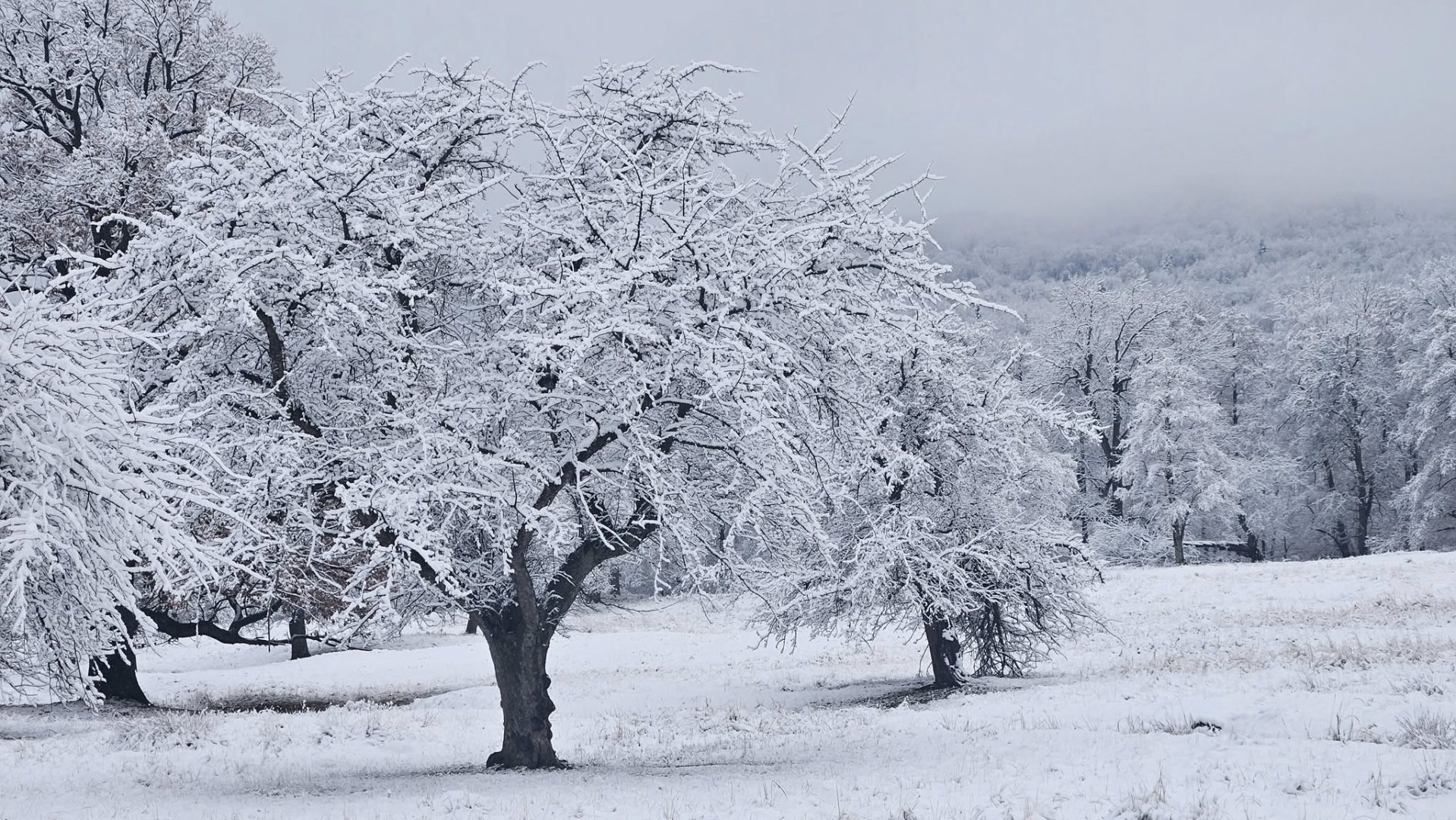 Horoscop 22 noiembrie 2025. Zi a clarităţii, a intenţiilor ferme şi a unei energii fabuloase de la o drumeţie în natură