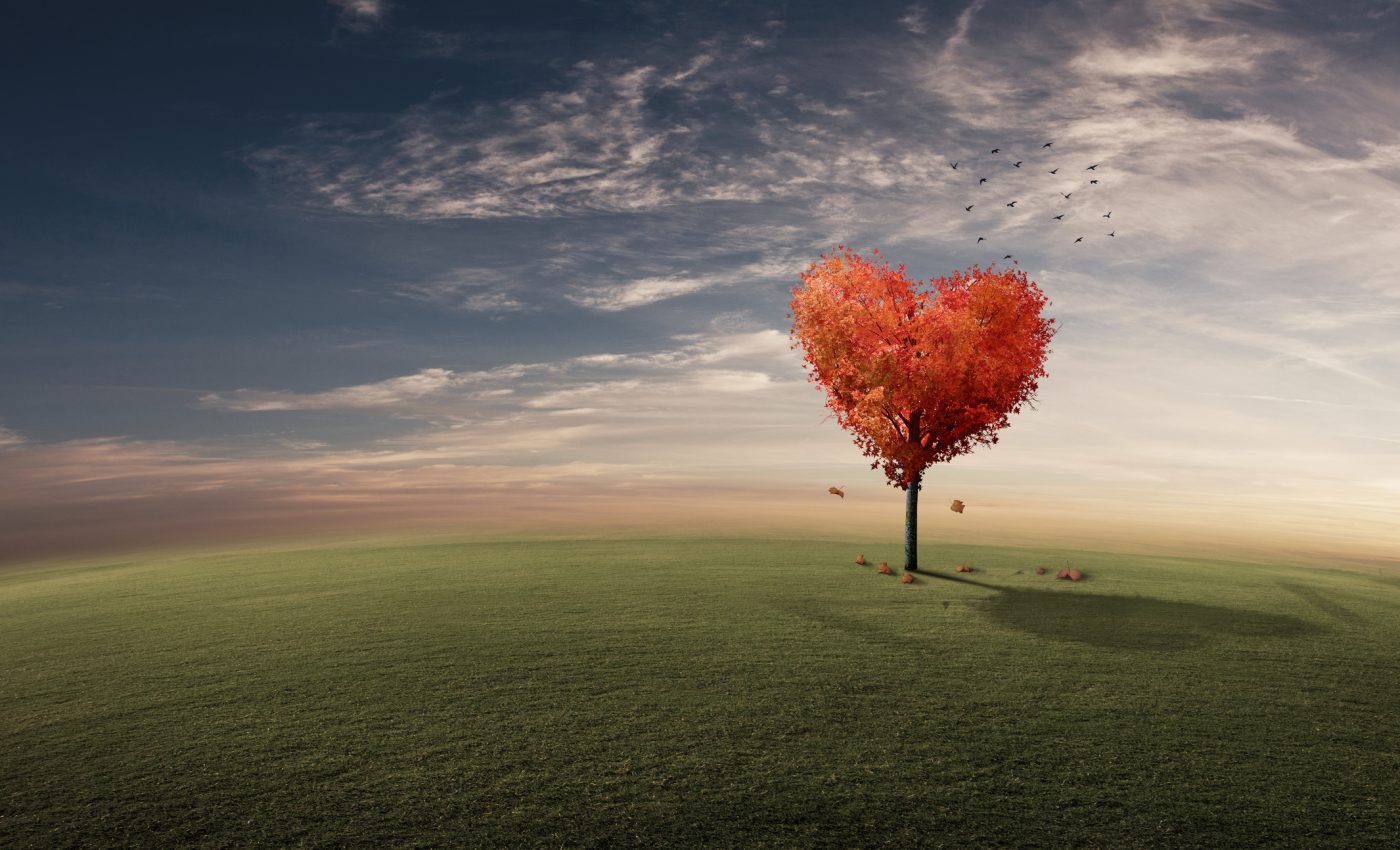 DRAGOSTEA profundă sosește pentru aceste 5 ZODII în NOIEMBRIE 2025