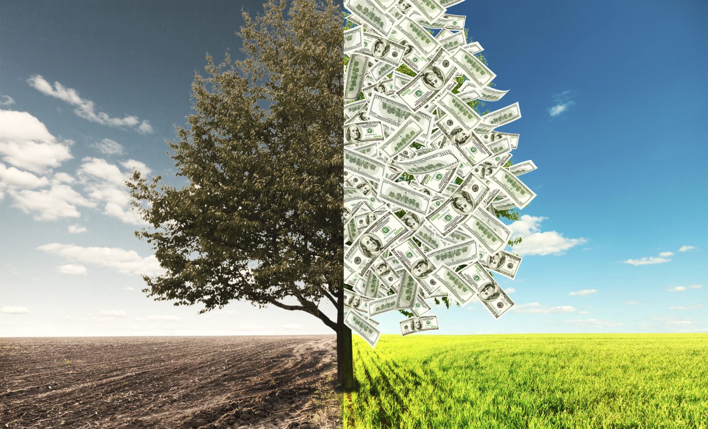 Karma banilor. TIPARE inconștiente ale ZODIILOR cu BANII și „antidotul” potrivit pentru ele