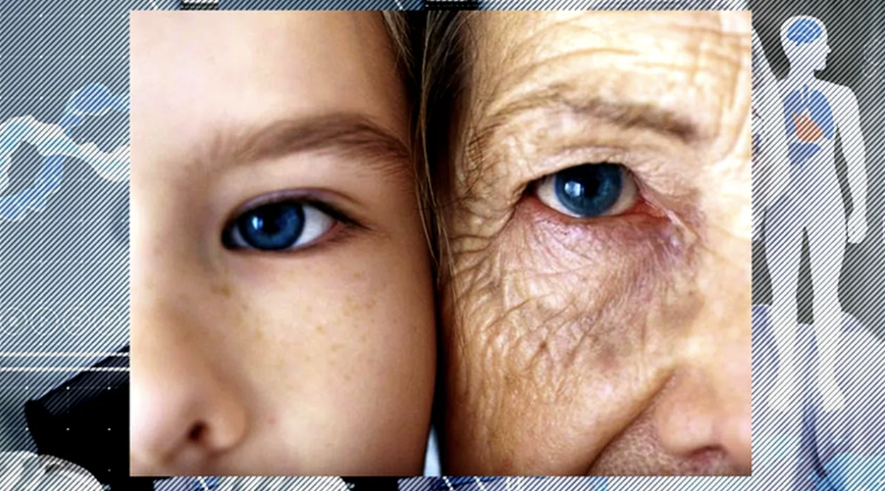 Cercetătorul care a demonstrat că pot fi întinerite celulele fără modificări genetice, Patrick Paine, vine la București