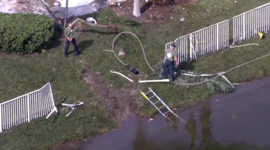 VIDEO Avion prăbuşit în Florida, într-o zonă rezidenţială