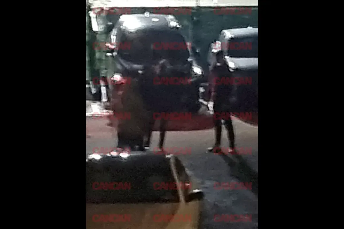 Scandal Valentina Aldea