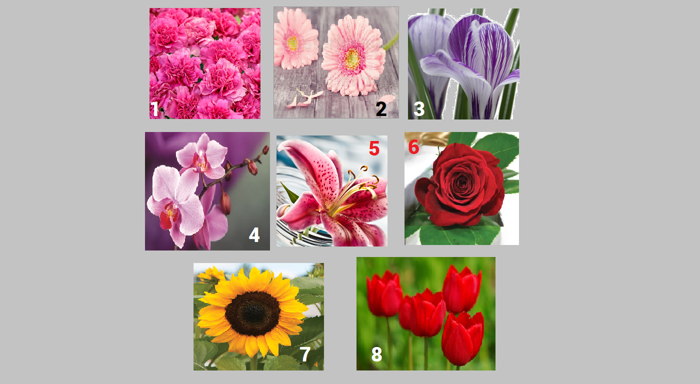 Alege o floare și vezi ce spune despre tine. Răspunsul este șocant de adevărat