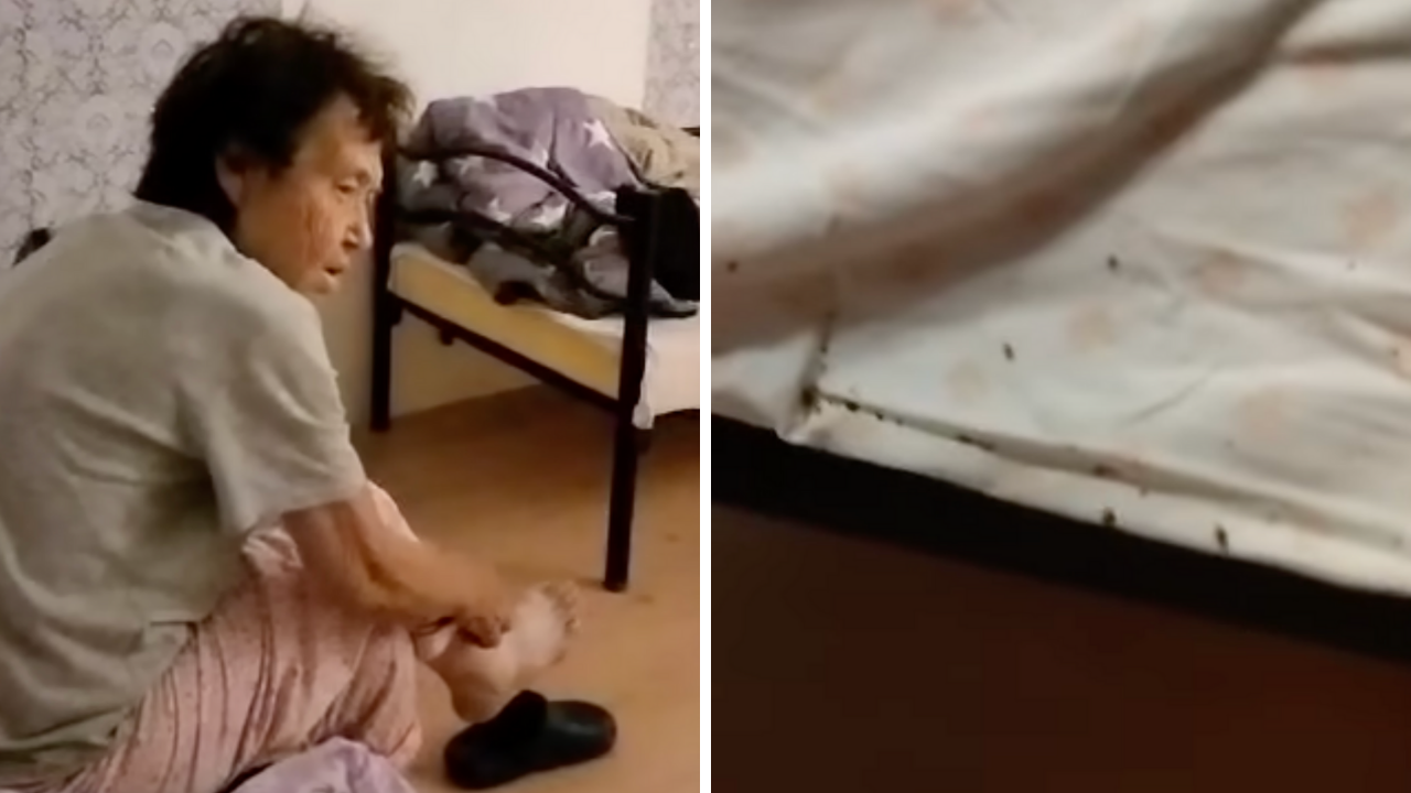 Centrul „Ciprian și Iustina”, azilul unde bătrânii sunt mâncați de ploșnițe. Activitatea a fost suspendată, iar 54 de vârstnici au fost relocați